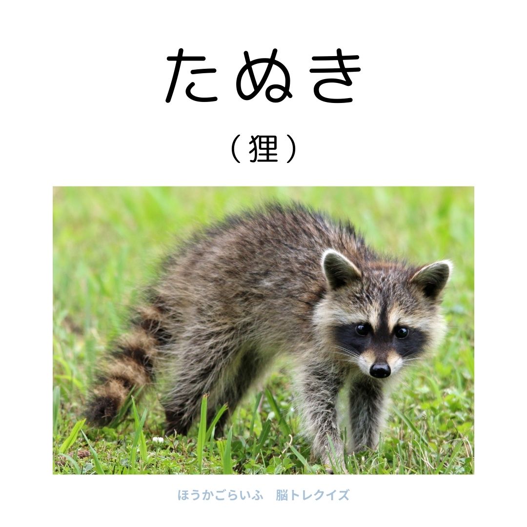 高齢者向け（無料）言葉の並び替えで脳トレしよう！文字（ひらがな）を並び替える簡単なゲーム【動物の名前】健康寿命を延ばす鍵